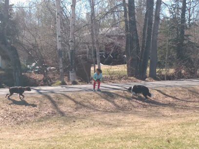 Valley of the Moon Dog Park