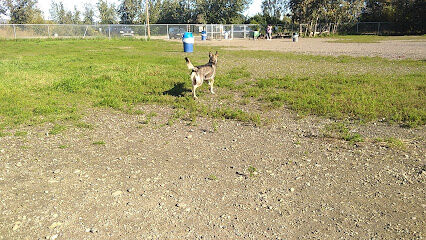 Fairbanks Dog Park 2nd Ave