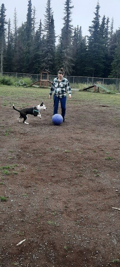 Kenai Bark Park