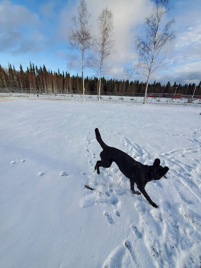 North Pole Dog Park