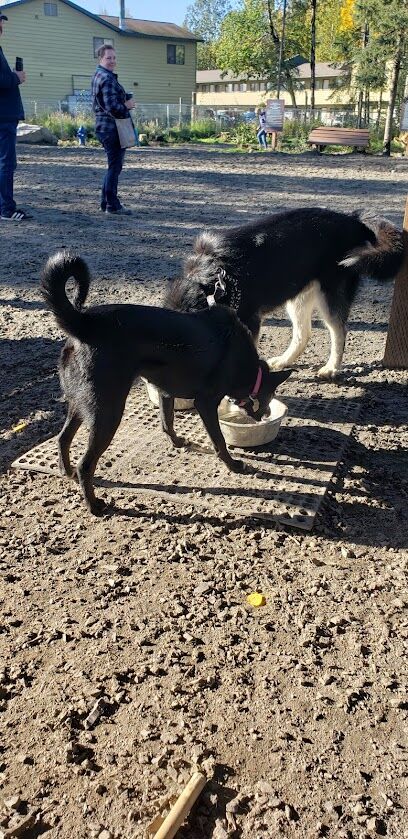3 Friends Dog Park
