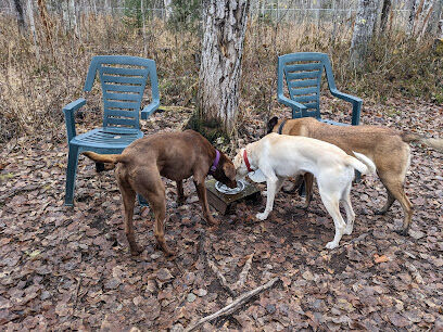 Willow Creek Dog Park