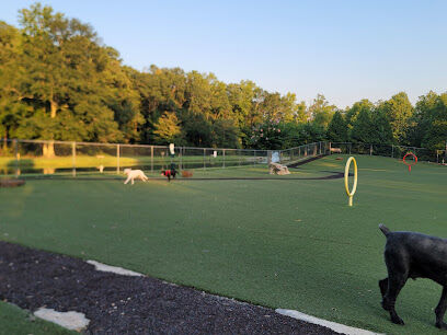 Beneful Dream Dog Park