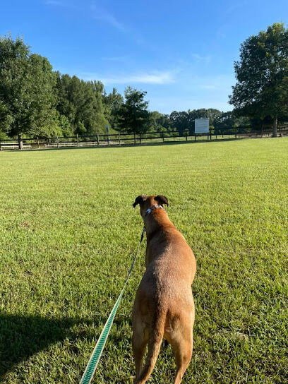 Kiesel Park