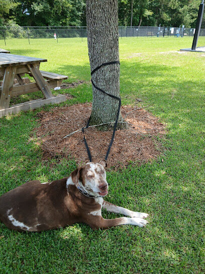 Bark Minette Dog Park