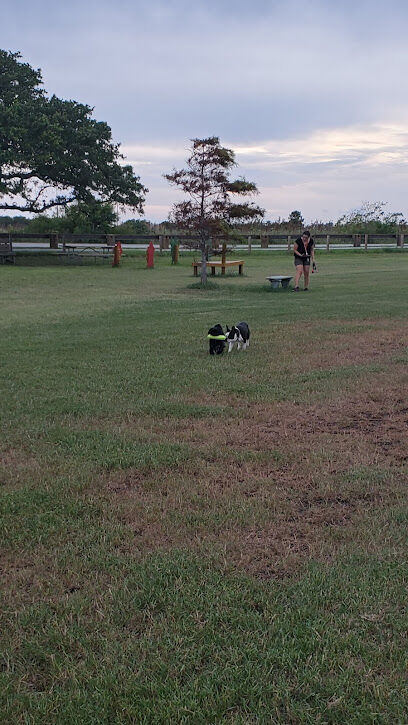 Dog Park