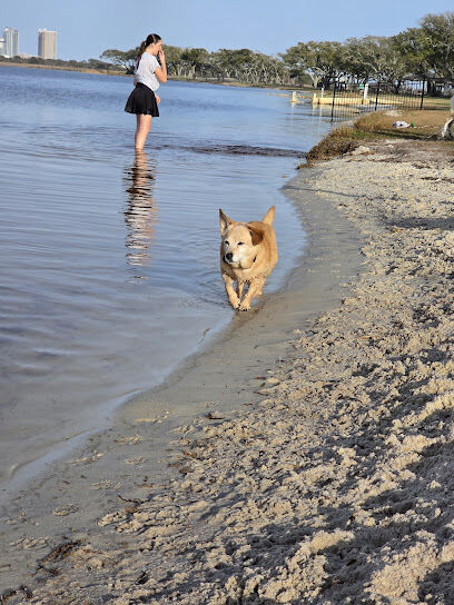 The Dog Pond at Lake Shelby