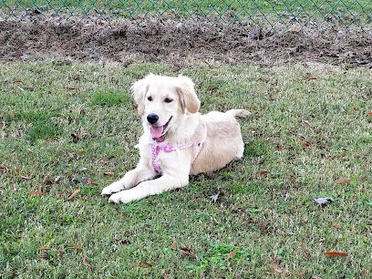 Guntersville Dog Park