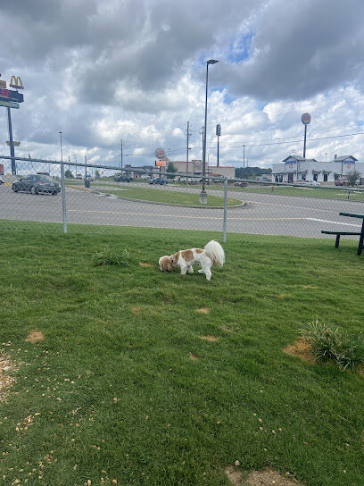 Dog Park at Love's Travel Stops