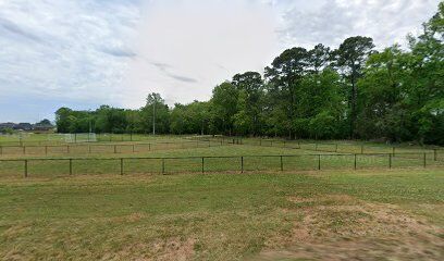 Palmer Park Dog Park