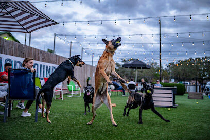 HopHounds Brew Pub & Dog Park