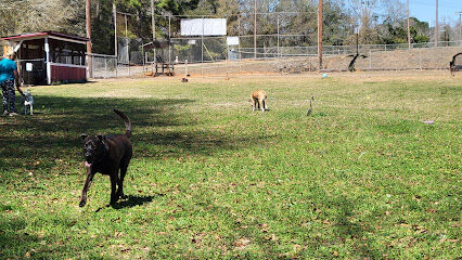 Beagle Stadium Dog Park