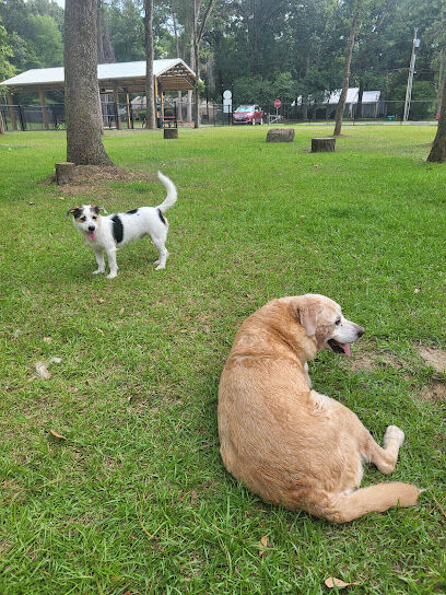 Loyalty Dog Park