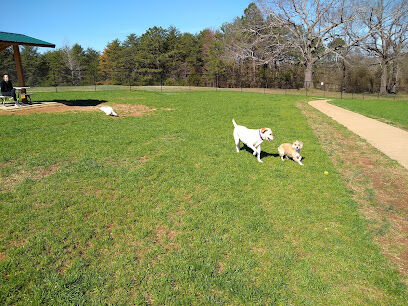 Will May Dog Park