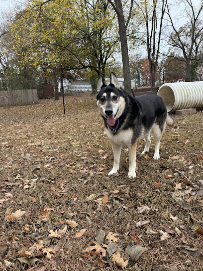 Berryville dog park
