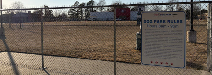 Sonic Dog Park
