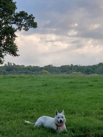 Conway's PetSafe Dog Park