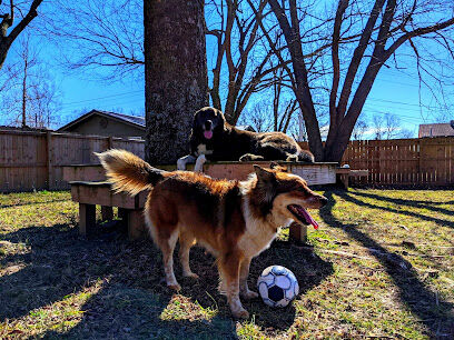 Good Dog Cafe