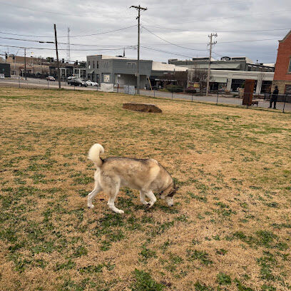 Squirrel Chase Dog park
