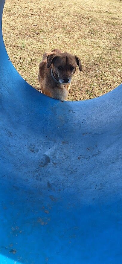 Kiwanis bark park