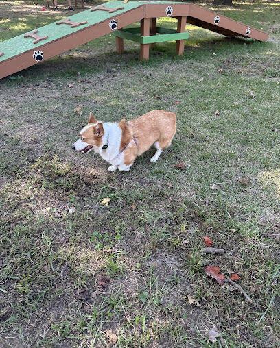 The Bark Park