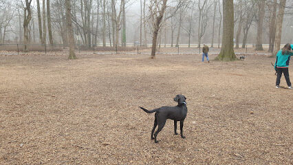 Paws Park at Murray