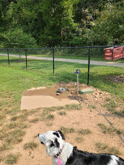 Lake Atlanta Dog Park