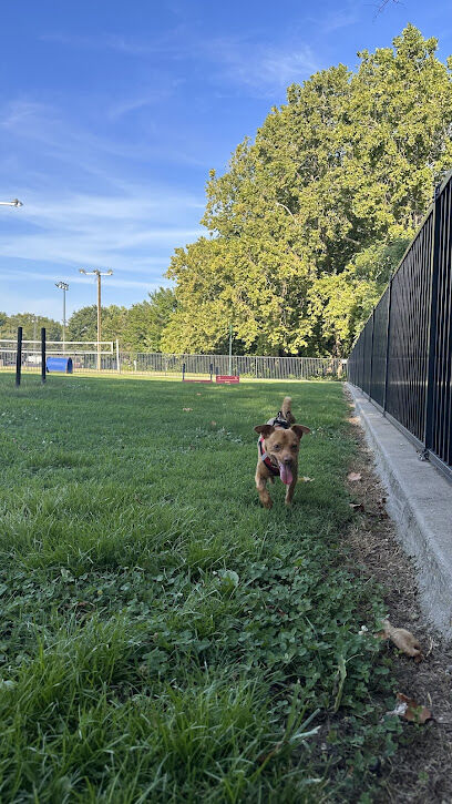 Dog Park