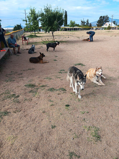 Bisbee Dog Park