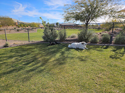 Dog Park