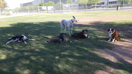 Nozomi Dog Park