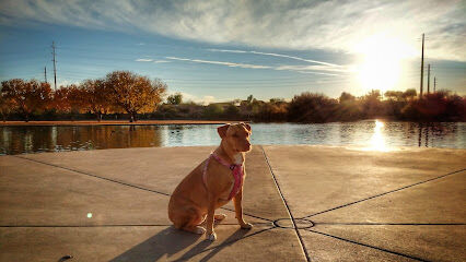 Dog Park at Crossroads