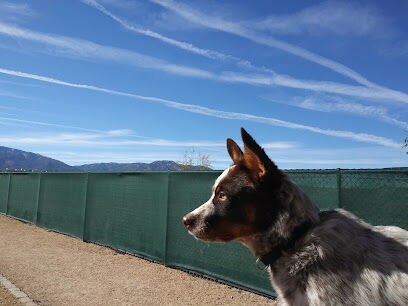 Dog Park