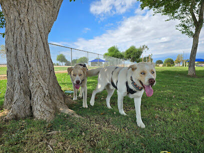 Roscoe, Goodyear, Dog Park