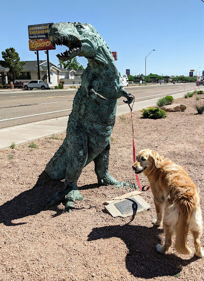 Holbrook Dog Park