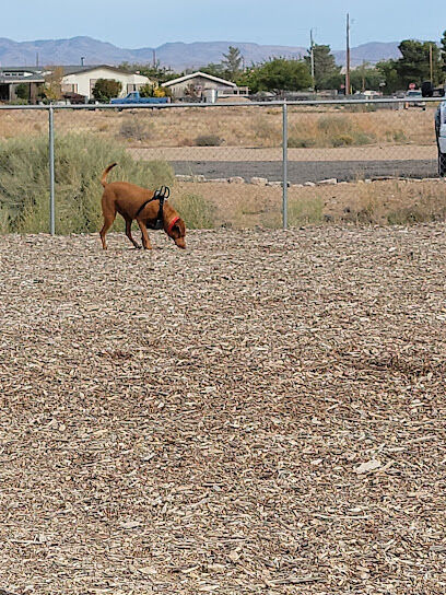 Willow's Dog Park