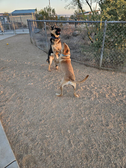 Tangerine Sky Community - Dog Park