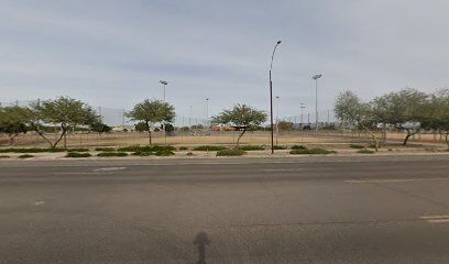 Active Dog Area