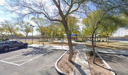 Active Dog Area