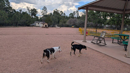Rumsey Park Dog Park