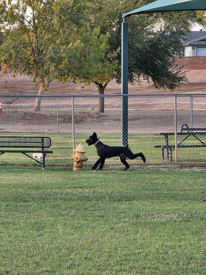 Sunnyslope Dog Park