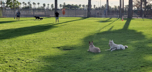 Hance Large Dog Park