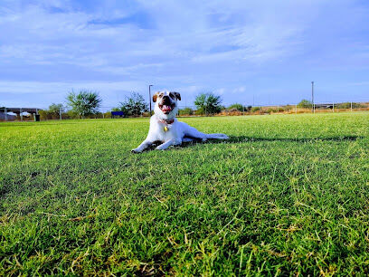 Pinnacle Dog Park