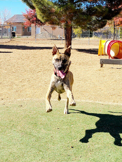 Mountain Valley Dog Park