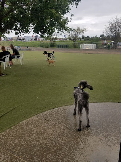 Willow Creek Beneful Dream Dog Park