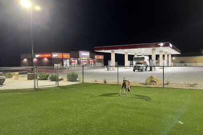 Dog Relief Area