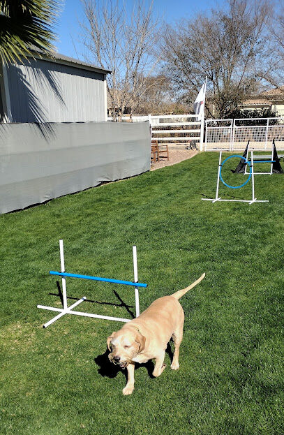 Fetch at The Stall Private Dog Park