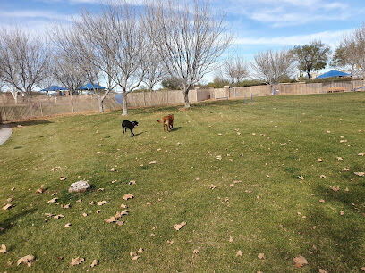 Bark Park