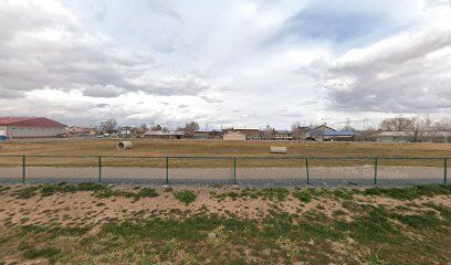 Snowflake Dog Park