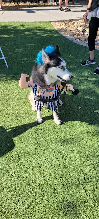 Large Dog Park-Members Only